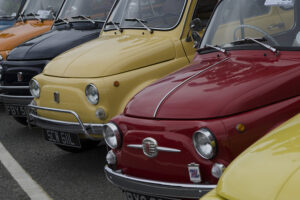 Classic Fiat 500s
